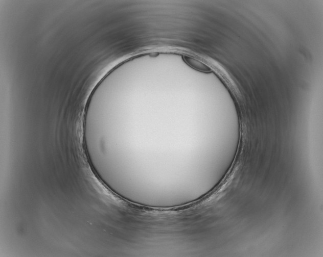X0000111211244200907011044