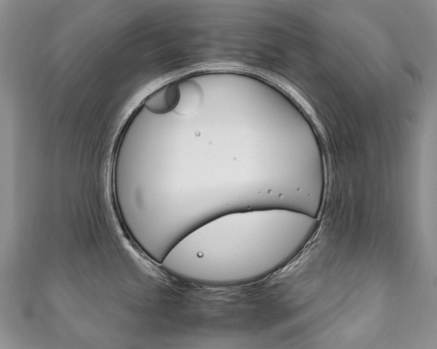 X0000111211245200907011044