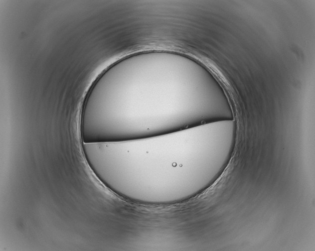 X0000111211246200907011044