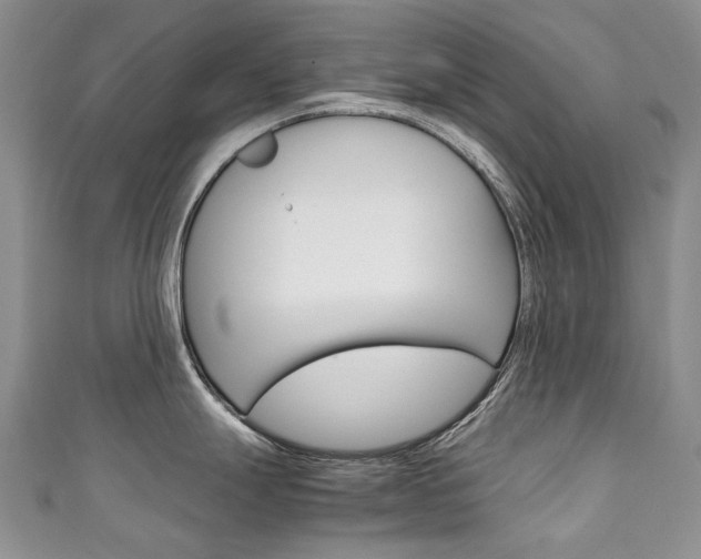 X0000111211247200907011044