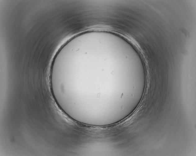 X0000111211248200907011044