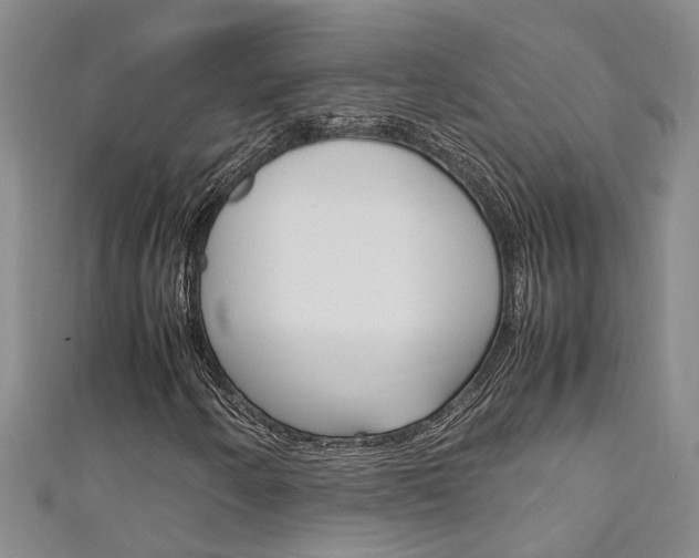 X0000111211250200907011043