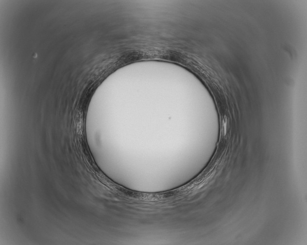 X0000111211251200907011043