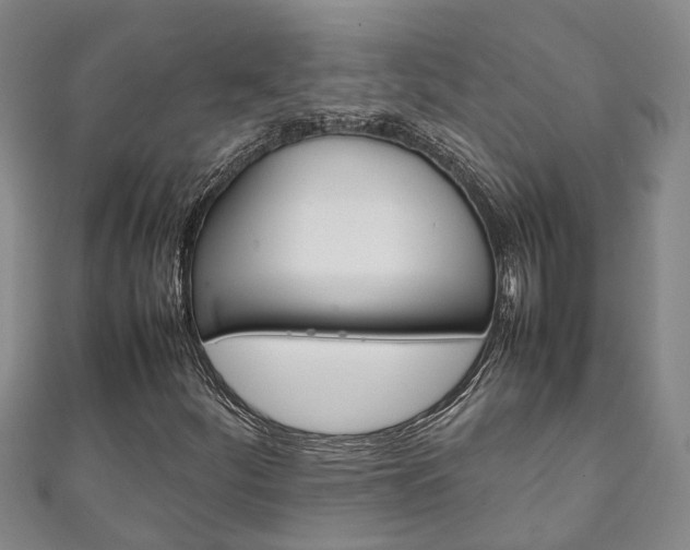 X0000111211252200907011043