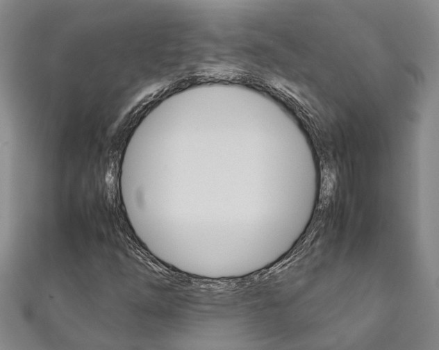 X0000111211254200907011043