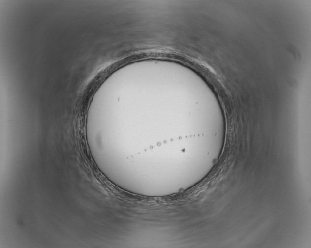 X0000111211255200907011043