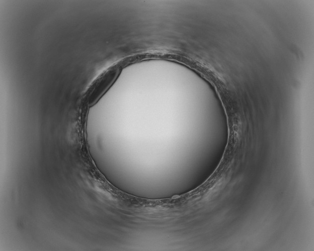 X0000111211256200907011043