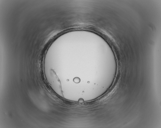 X0000111211259200907011043