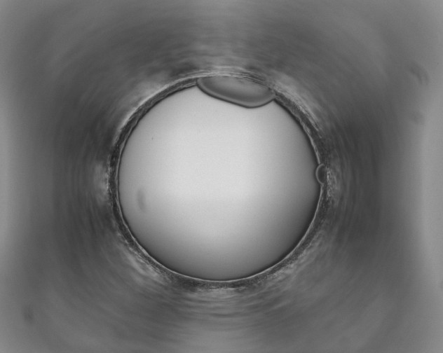 X0000111211260200907011043