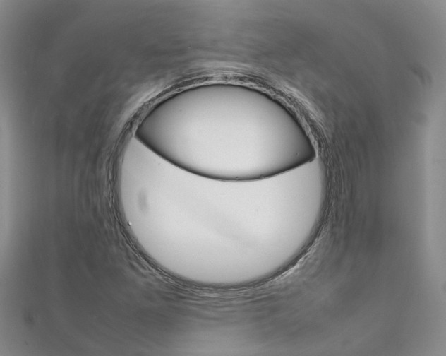 X0000111211261200907011043