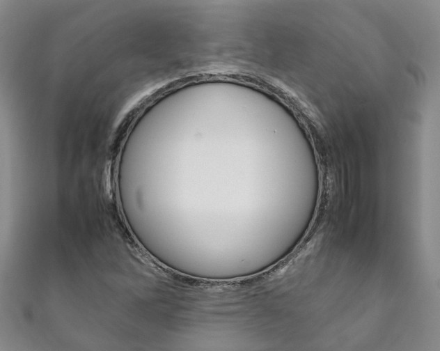 X0000111211262200907011043