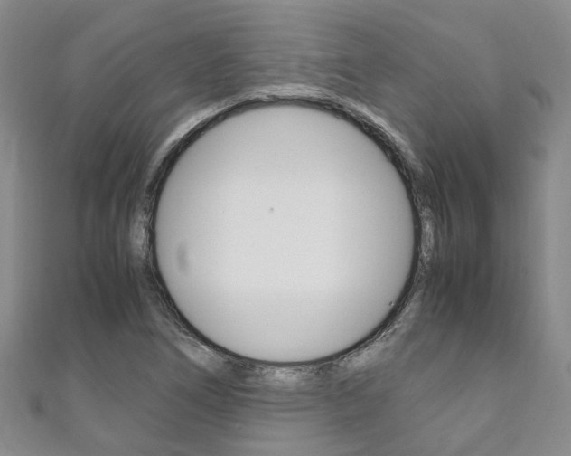 X0000111211266200907011043