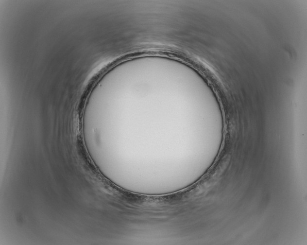 X0000111211267200907011043