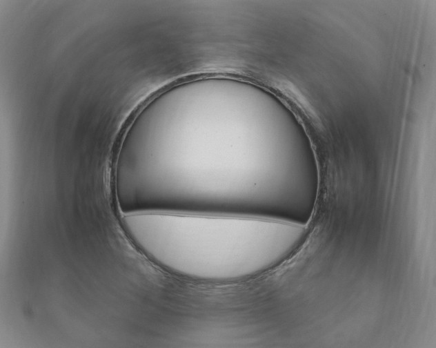 X0000111211268200907011043