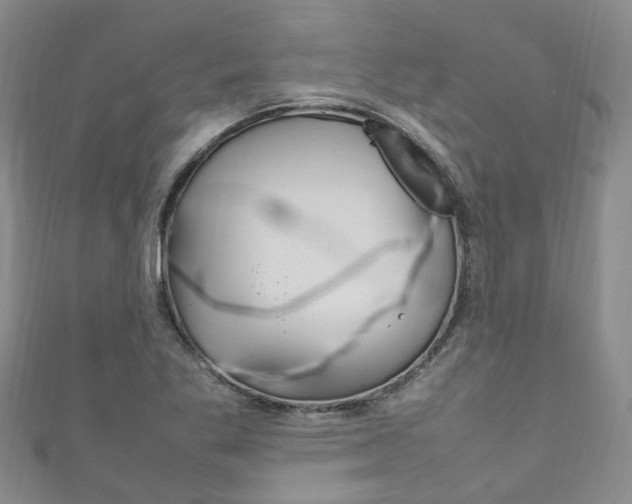 X0000111211269200907011043