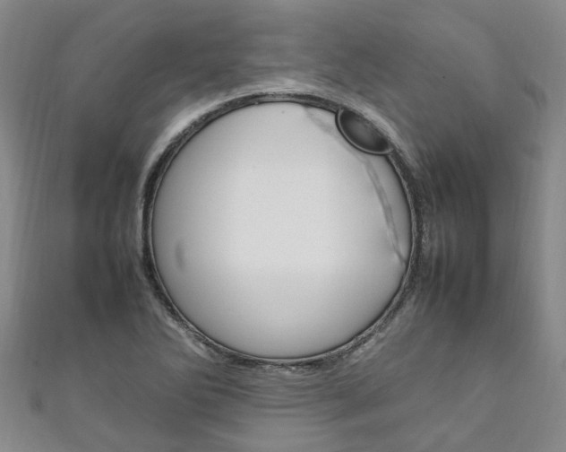 X0000111211270200907011043