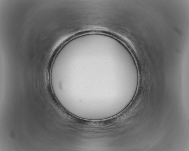 X0000111211271200907011043