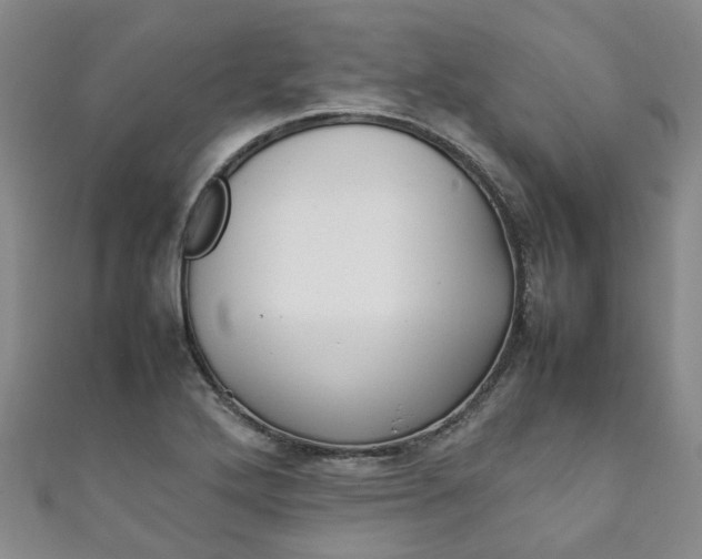 X0000111211272200907011043