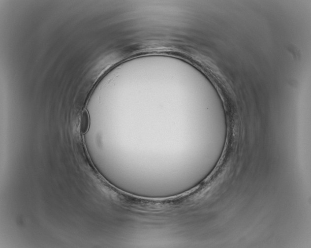 X0000111211273200907011043