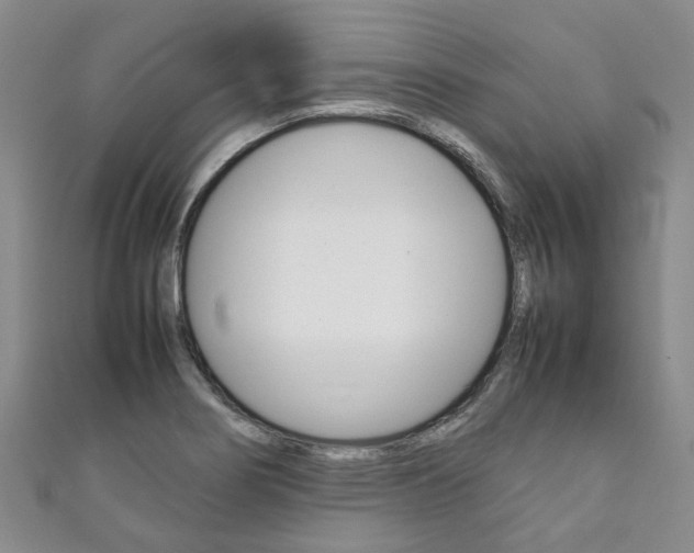 X0000111211274200907011043