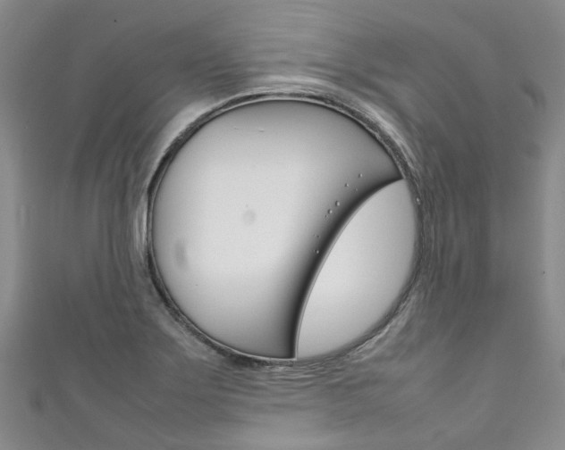 X0000111211275200907011043
