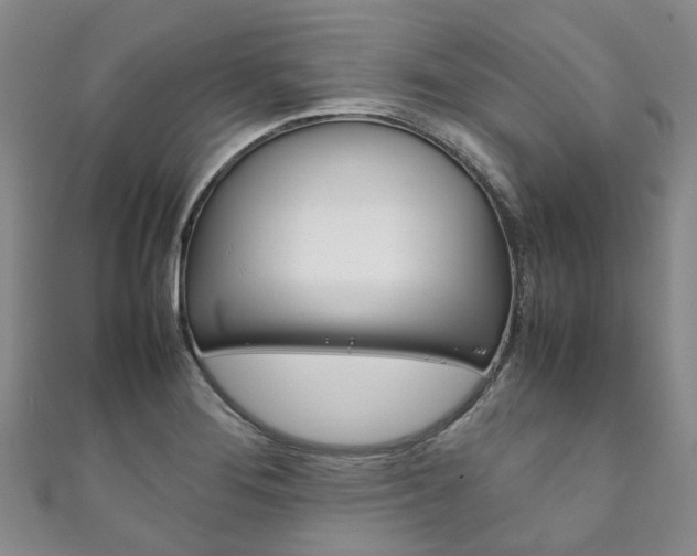 X0000111211276200907011043