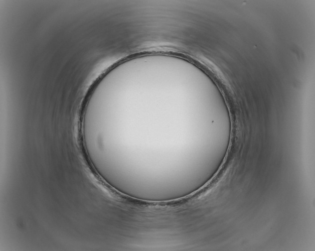 X0000111211277200907011043