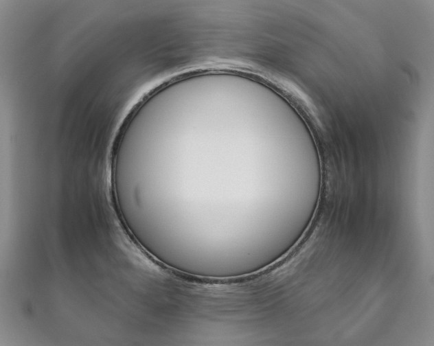 X0000111211280200907011043