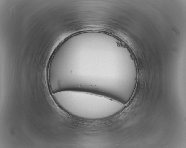 X0000111211283200907011043