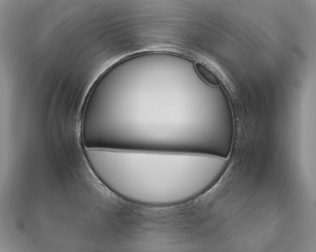 X0000111211284200907011043
