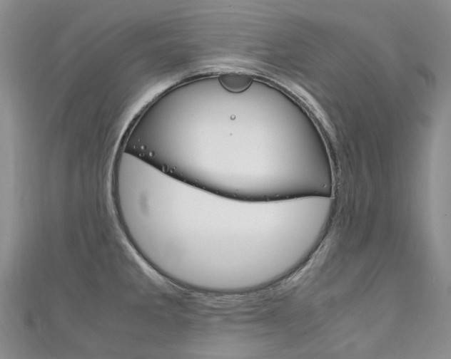 X0000111211285200907011043