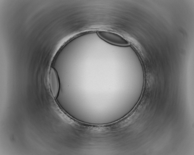 X0000111211288200907011043