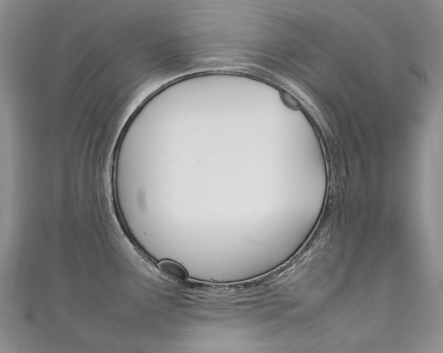 X0000111211291200907011043