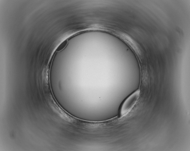 X0000111211292200907011043