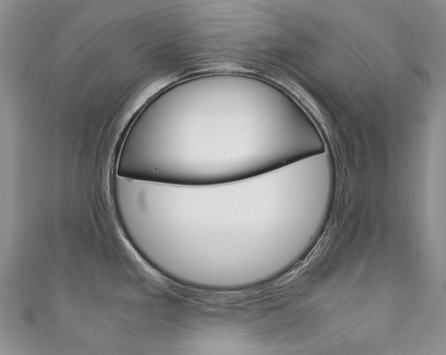 X0000111211293200907011043
