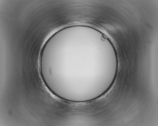 X0000111211294200907011043