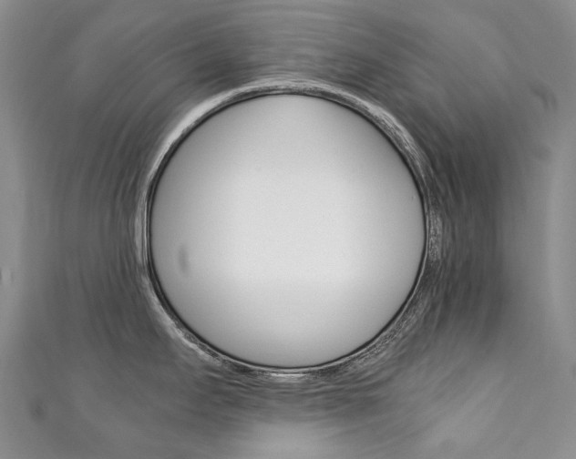 X0000111211295200907011043