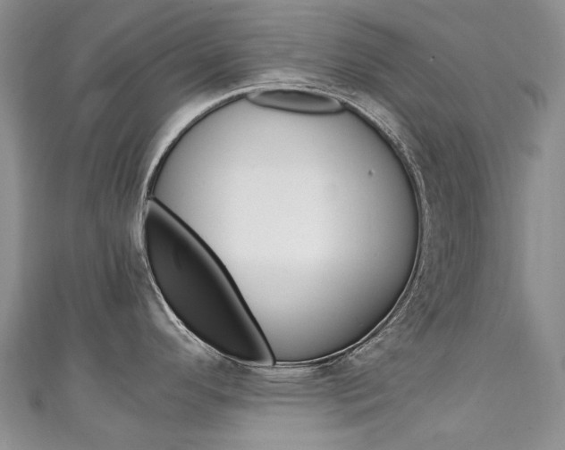 X0000111211296200907011043