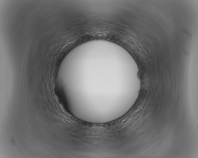 X0000111211297200907011042