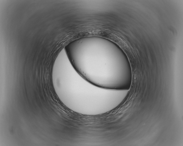 X0000111211298200907011042