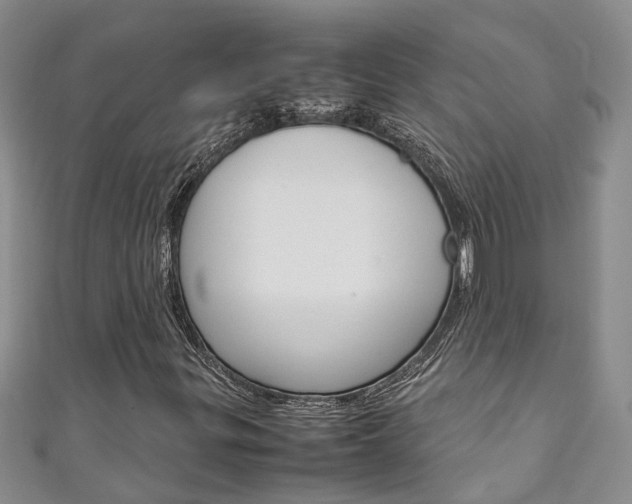 X0000111211299200907011042