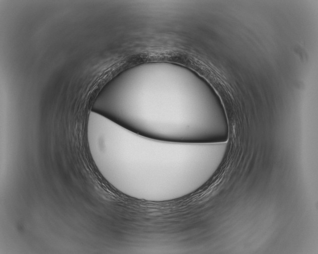X0000111211300200907011042