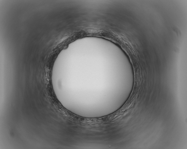 X0000111211301200907011042