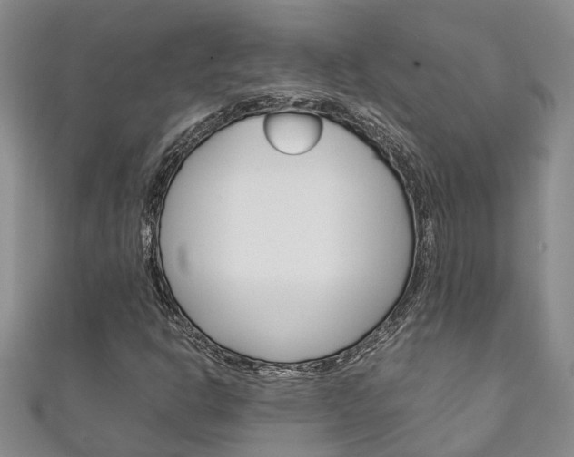X0000111211302200907011042