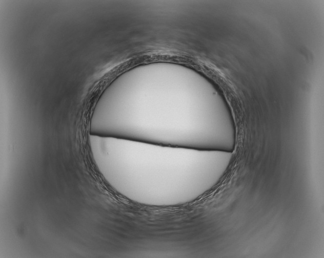 X0000111211303200907011042