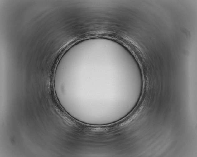 X0000111211305200907011042