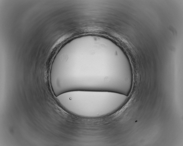 X0000111211306200907011042