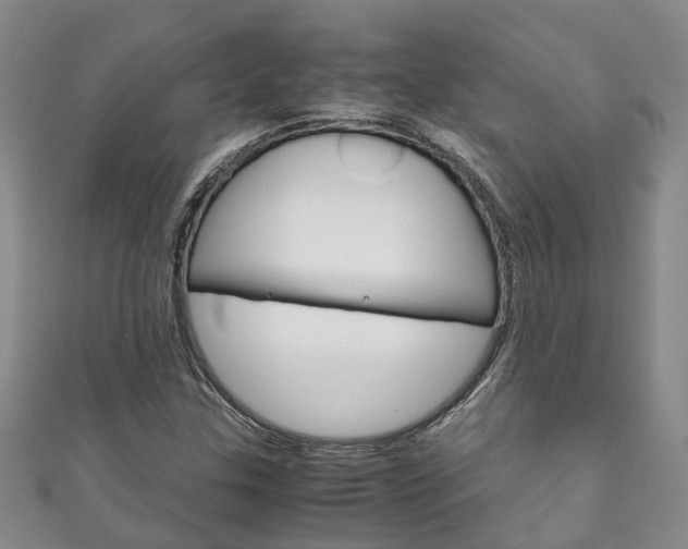 X0000111211307200907011042