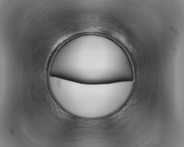 X0000111211308200907011042