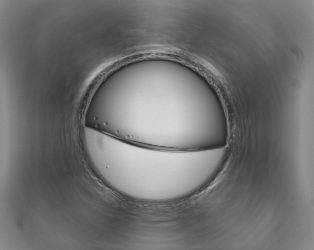 X0000111211310200907011042